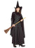 Classic Women's Black Witch Halloween Dress Up Costume Main Image