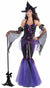 Black and Purple Women's Witch Halloween Costume - Front Image