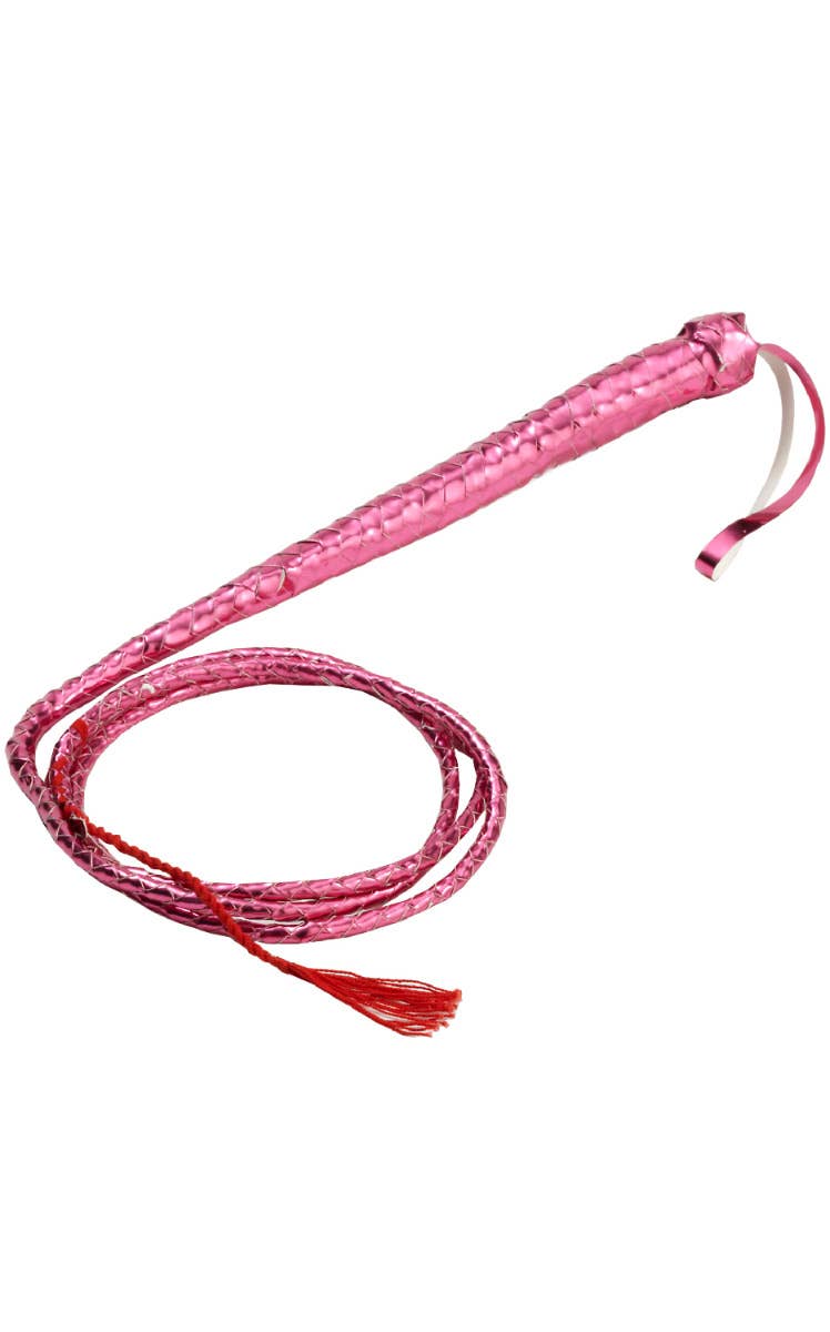 Sexy Metallic Pink Braided Whip Costume Accessory Main Image