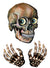 Skull Head and Hands Window Stickers Halloween Decoration - Main Image