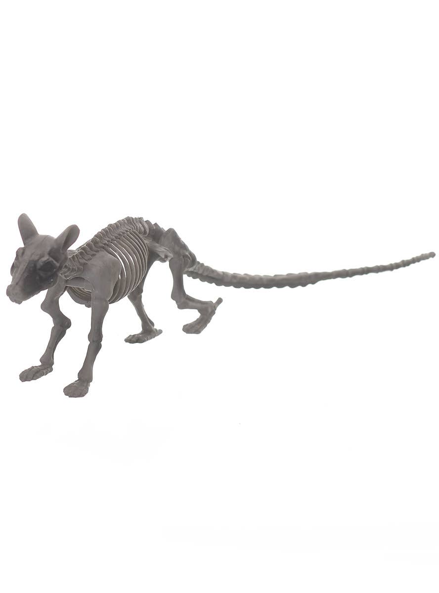 Rat Skeleton Halloween Prop - Main Image