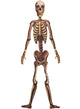 Hanging Cut Out Skeleton Halloween Decoration