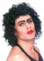 Men's Officially Licensed Dr Frank N Furter Rocky Horror Picture Show Black Costume Wig 