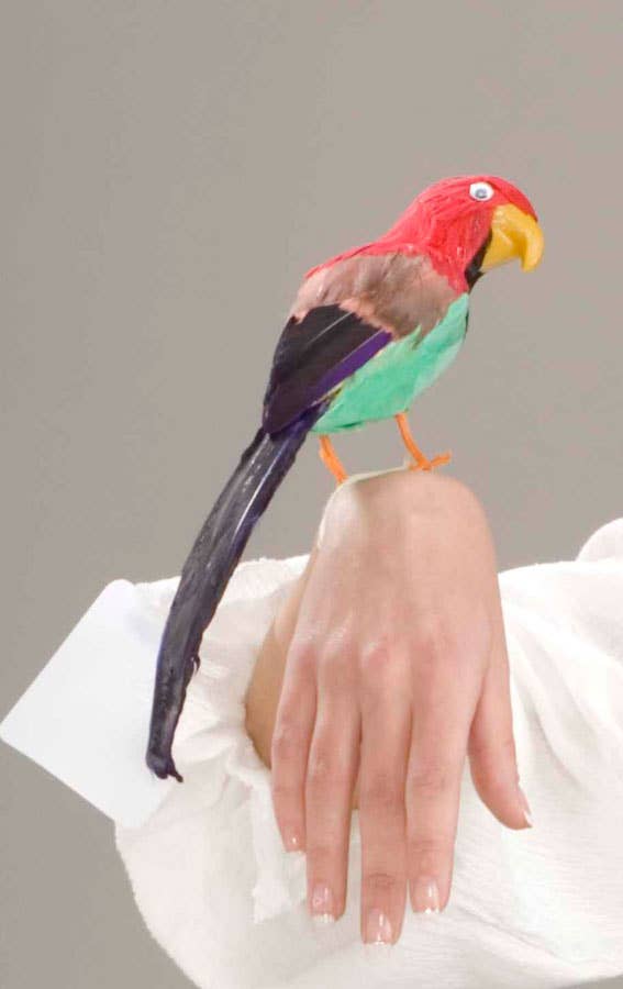 Novelty Colourful Parrot Bracelet Pirate Costume Accessory Close Up Image