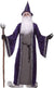 Men's Deep Purple Velvet Merlin Wizard Halloween Costume - Main Image