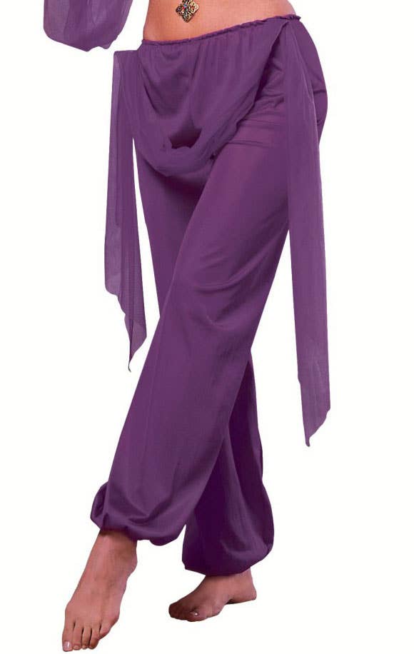 Womens Purple Desert Prince Sexy Fancy Dress Costume - Pants Image