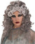 Women's Grey Halloween Costume Wig 