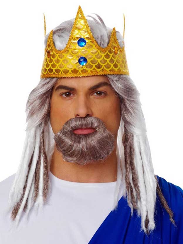 Men's Poseidon Costume Wig Alternate View