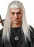 Geralt of Rivia Mens Witcher Grey Costume Wig