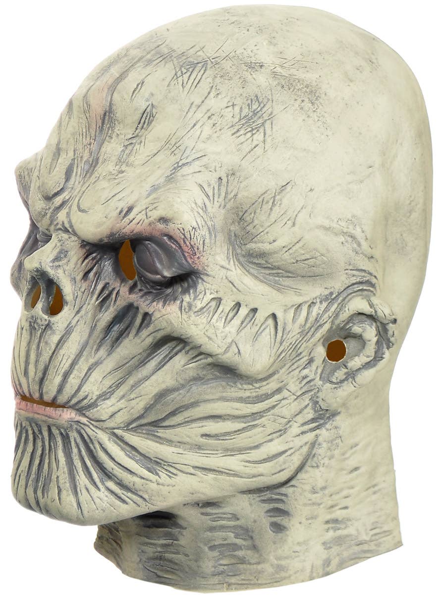 Image of Strange Vecna Monster Halloween Costume Mask - Side View