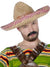 Mexican Tequila Dude Costume Sombrero Front View