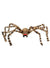 Image of Striped Brown and Black 18cm Spider Halloween Decoration - Main Image
