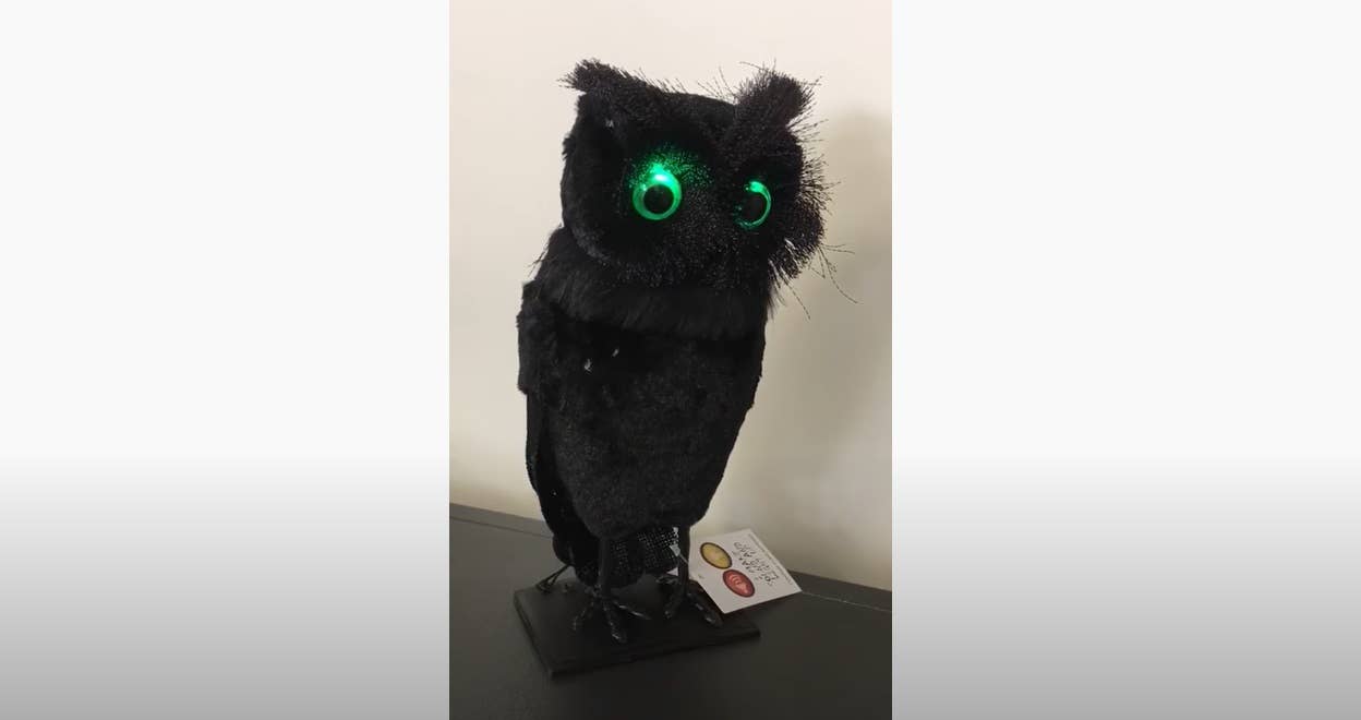 Screeching Midnight Owl Halloween Decoration with Sound and Lights Product Video 2