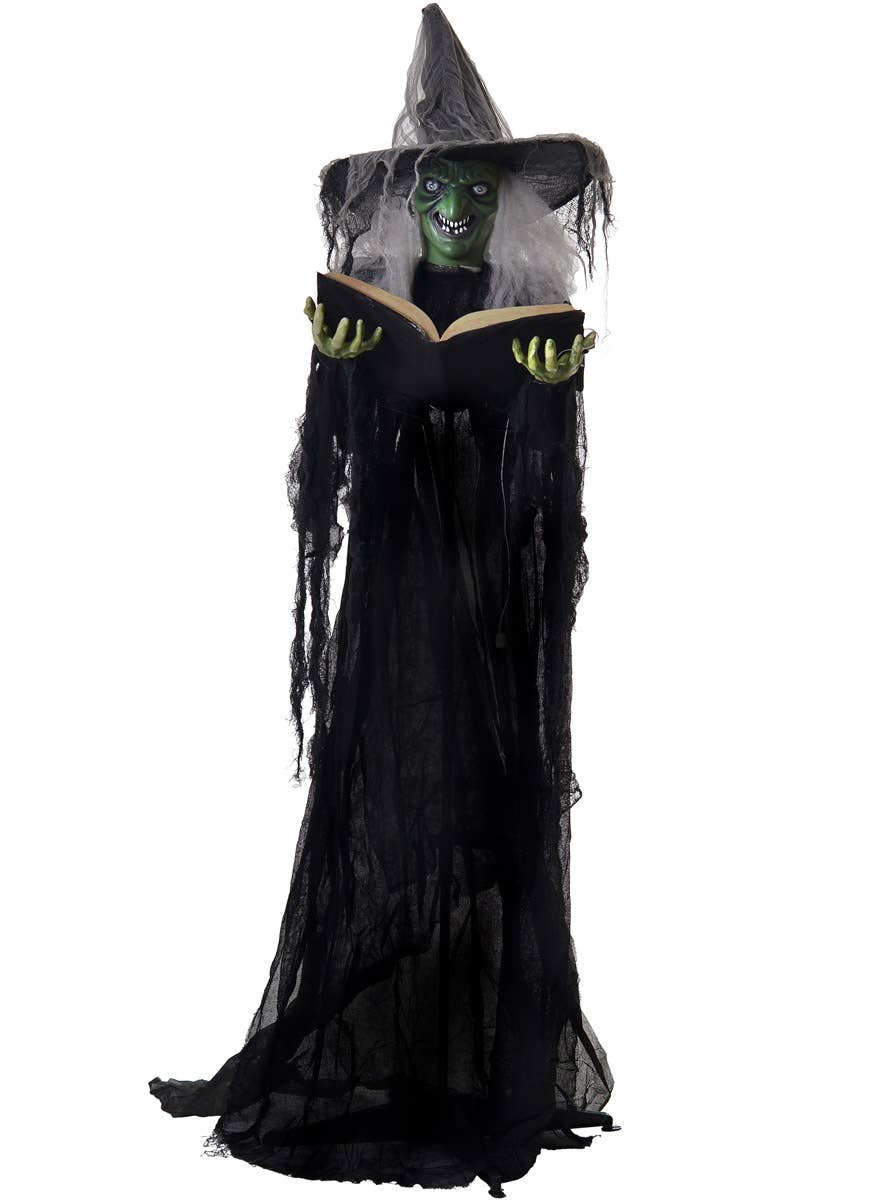 Animated Light Up Life Size Green Face Witch with Spell Book  Halloween Decoration - Main Image