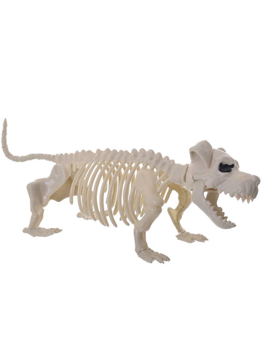 Bull Dog Skeleton Halloween Decoration