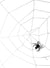 Image of Hanging White Rope Spiderweb with Spider Halloween Decoration