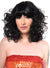 Image of Diva Women's Curly Black 1970's Costume Wig