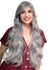 Extra Long Curly Silver Grey Women's Costume Wig - Front Image