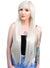 Women's Light Silver Straight Wig Front Image