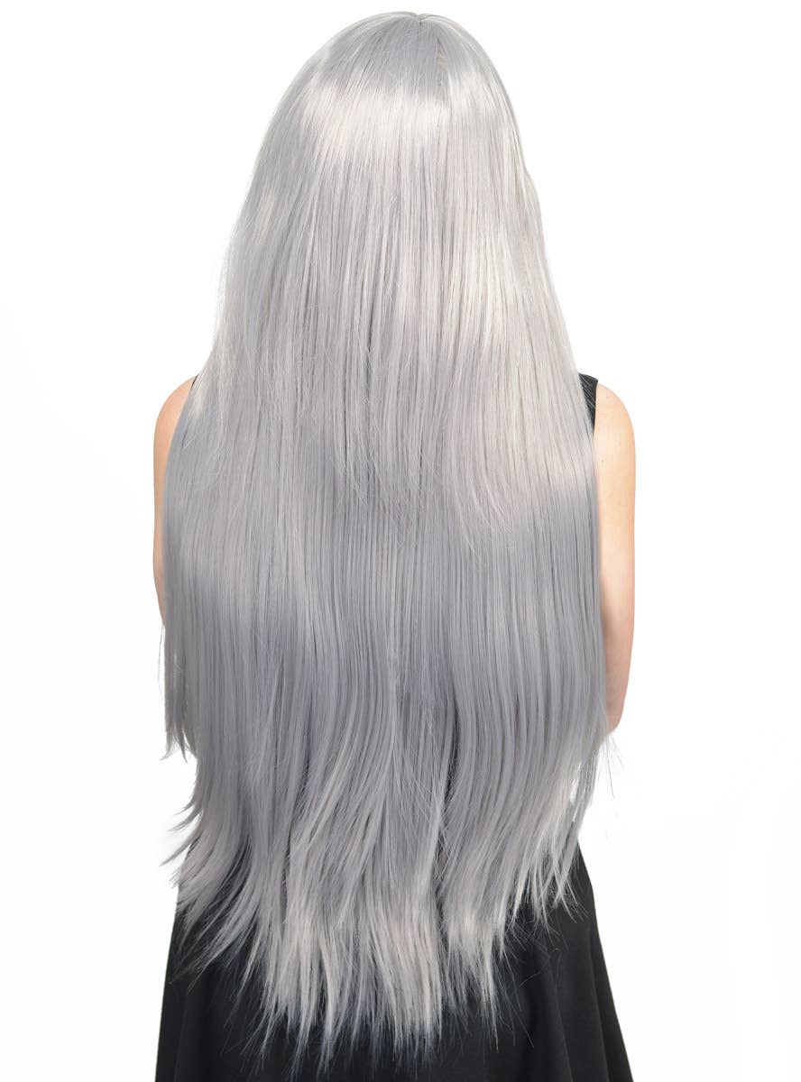 Women's Dark Silver Straight Wig Back Image