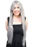 Women's Dark Silver Straight Wig Front Image