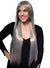 Straight Extra Long Womens Shimmering Silver Costume Wig - Front Image