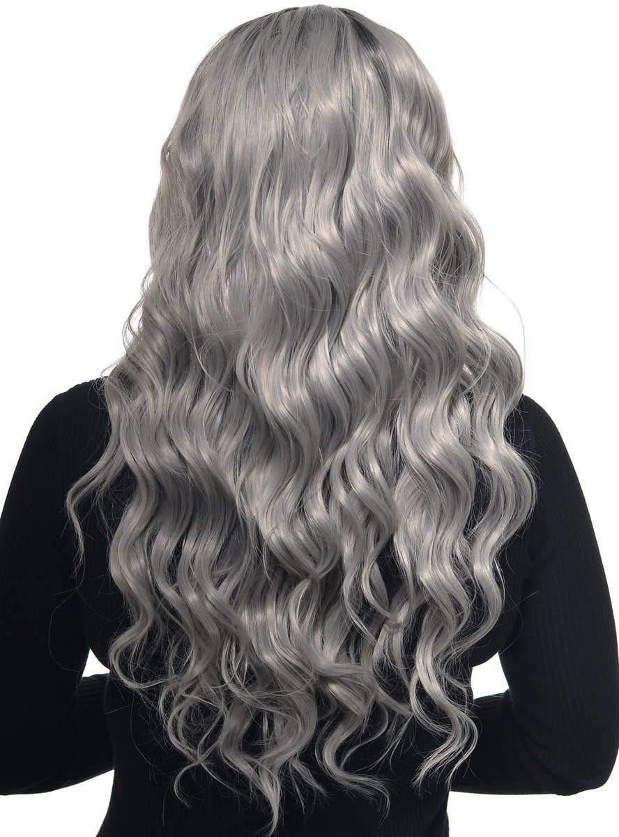 Womens Silver Grey Long Wavy Synthetic Fashion Wig with Lace Front and Dark Roots - Front Image