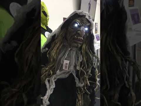 Old Hag Full Height Light and Sound Witch Halloween Decoration Product Video 