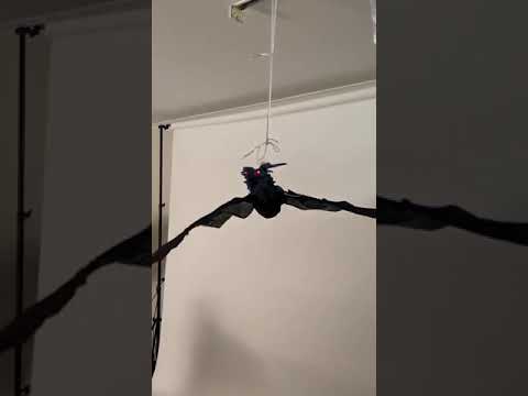 Flying Animated Dragon Deluxe Halloween Decoration Product Video