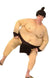 Adult's Hilarious Plush Sumo Wrestler Costume