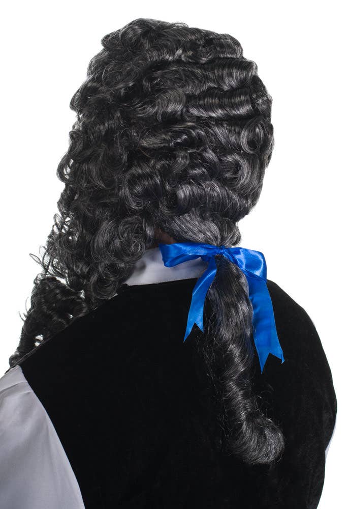 Curly Grey Colonial Men's Costume Wig Back View