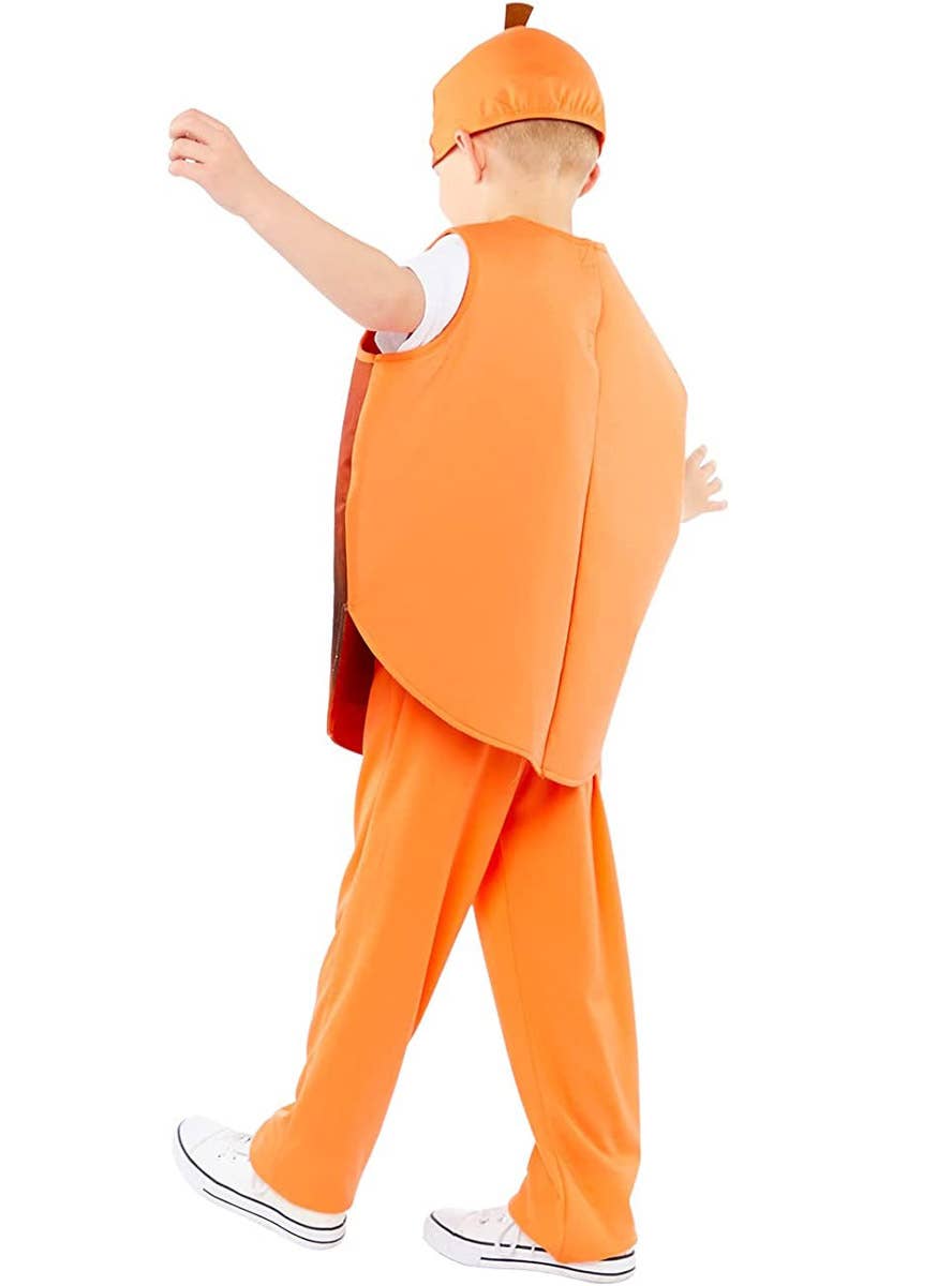 Image of James and the Giant Peach Boy's Roald Dahl Book Week Costume - Back View