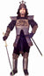 Japanese Samurai Mens Warrior Costume