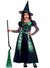 Image of Cute Black and Green Spider Witch Girls Halloween Costume 