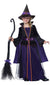 Girl's Deluxe Hocus Pocus Black and Purple Witch Halloween Costume Main Image
