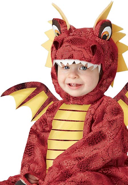 Costumes for Kids Little Adorable Red Dragon Fancy Dress Costume for Babies - Close View