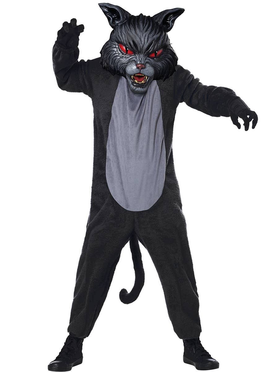 Cat Fight Halloween Costume for Kids