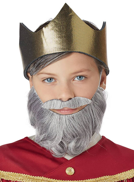 Image of Wise Man Boys Grey Beard and Moustache Set