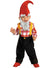 Infant Gnome Costume for Boys - Main Image