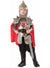 Boy's Medieval Knight Costume Fancy Dress Front View