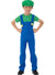 Green Plumber Boy Book Week Costume Main Image