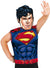 Boys DC Comics Superman Dress Up Costume