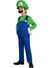 Luigi Boy's Deluxe Super Mario Video Game Costume Main Image