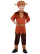 Teen Boy's Brown Viking Warrior Costume - Front View