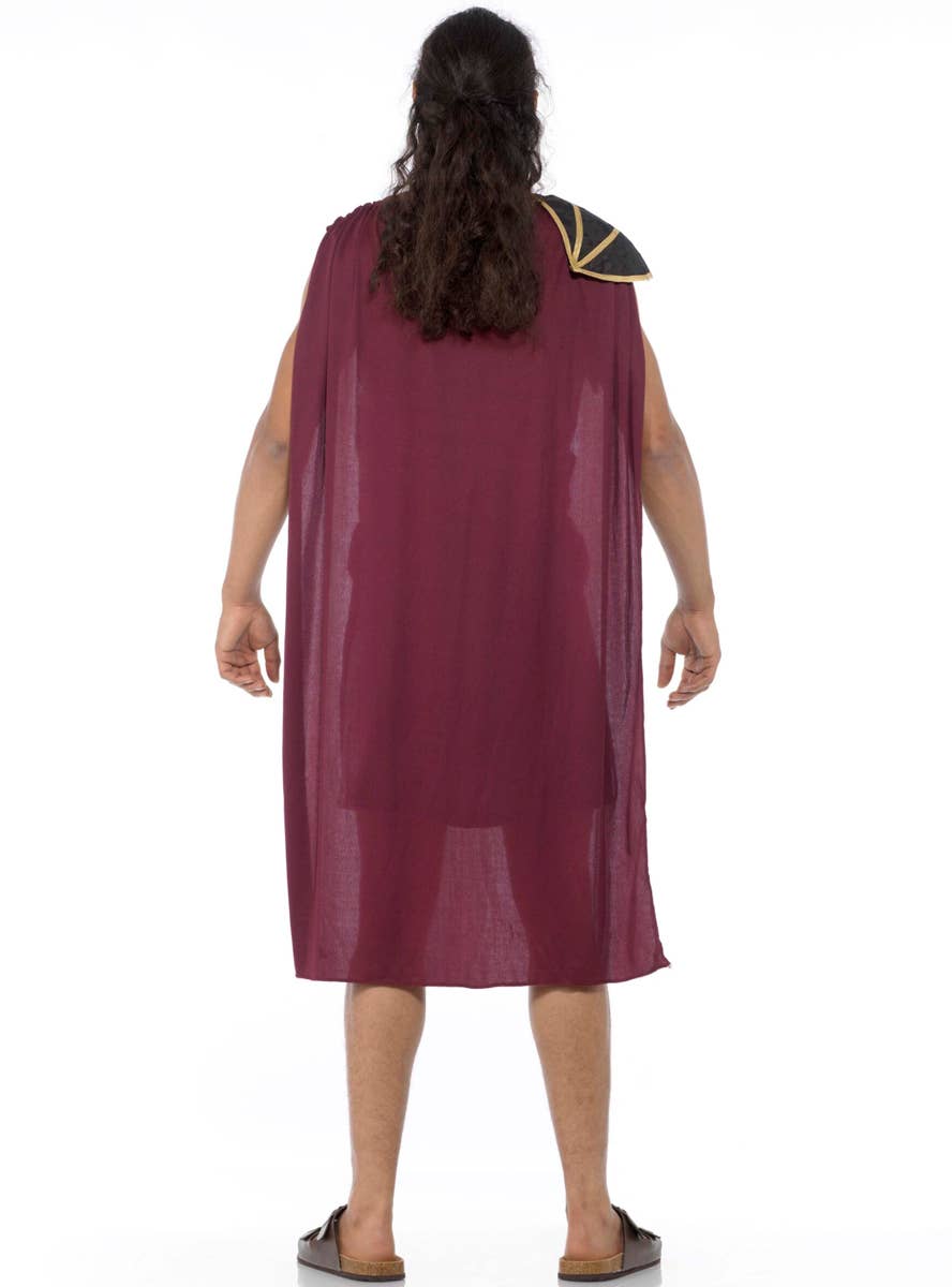 Men's Roman Soldier Fancy Dress Costume Back Image