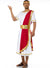 Men's Roman Emperor Toga Costume Main Image