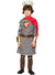 King Arthur Costume for Boys - Front Image