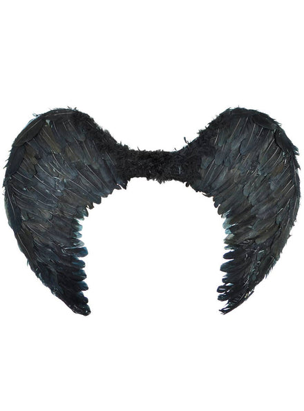 Image of Large 75cm Black Fallen Angel Costume Wings