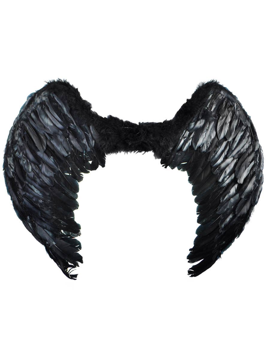 Image of Large Black Feather Dark Angel Costume Wings