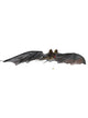 Image Of Halloween Decoration Fake Flying Bat with Light Up Eyes Halloween Decoration